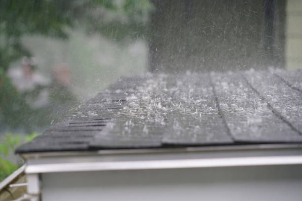 Best Roof Ventilation Installation  in Greensboro, GA